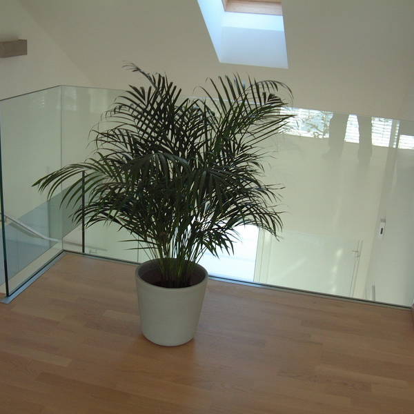 DSCF0129.JPG